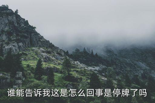 江南紅箭為什么停牌，江南紅箭為什么在軍工板塊里面沒有