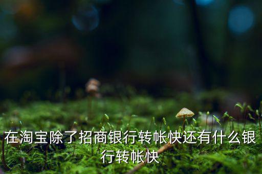 什么銀行網(wǎng)上轉(zhuǎn)賬最慢，在淘寶除了招商銀行轉(zhuǎn)帳快還有什么銀行轉(zhuǎn)帳快