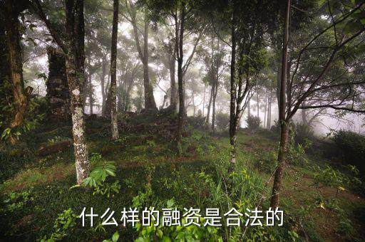 什么是合法的融資，什么是合法融資