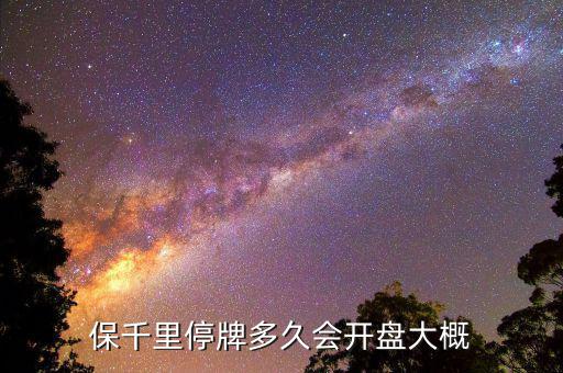 保千里什么時間上市，保千里什么時候復(fù)牌