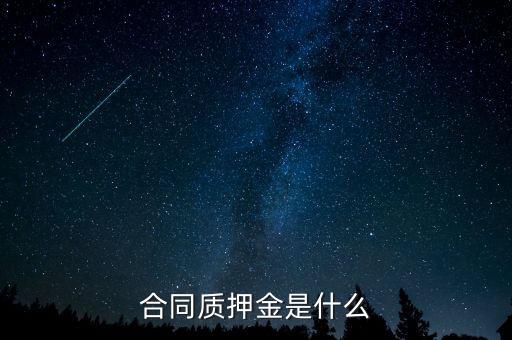 質(zhì)押金是什么，期貨中的質(zhì)押金是什么意思