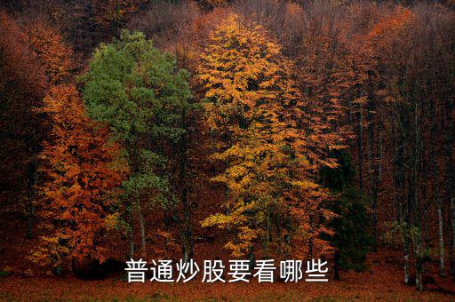 炒股每天都看什么，炒股究竟看什么怎么看