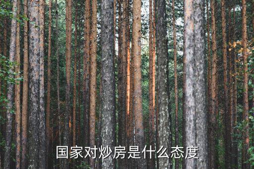 在中國為什么國家允許炒房，在中國為什么民眾熱衷炒房
