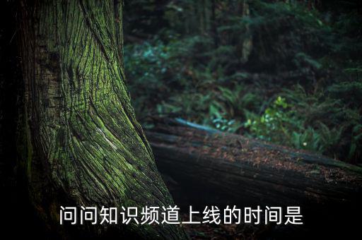 愛網(wǎng)貸平臺什么時候上線，問問知識頻道上線的時間是