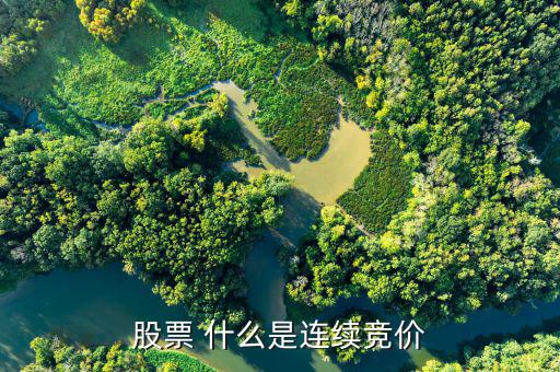 股票連續(xù)競價是什么意思，股票 什么是連續(xù)競價