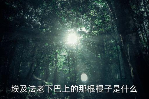埃及法老的胡子叫什么，胡扶是埃及的第幾代法老