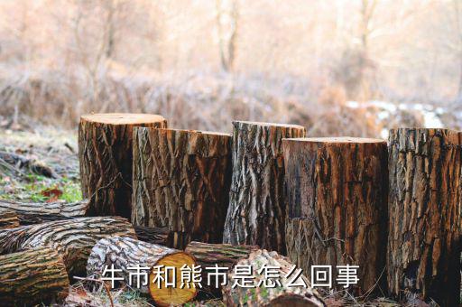 什么是熊市，人們?nèi)粘Ｕ務(wù)摴墒行星闀r(shí)常提及牛市熊市其中牛市指