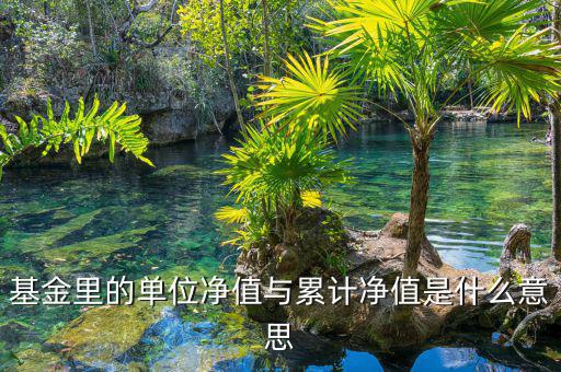 基金凈值和累計凈值是什么，基金里的單位凈值與累計凈值是什么意思