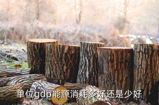 單位GDP越高說明什么，GDP代表著什么
