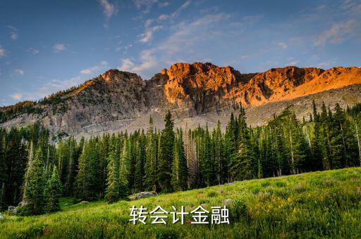 什么是外匯飽和，國外網(wǎng)友說要轉(zhuǎn)外幣給我叫我轉(zhuǎn)給她國內(nèi)的朋友她國內(nèi)的朋友銀