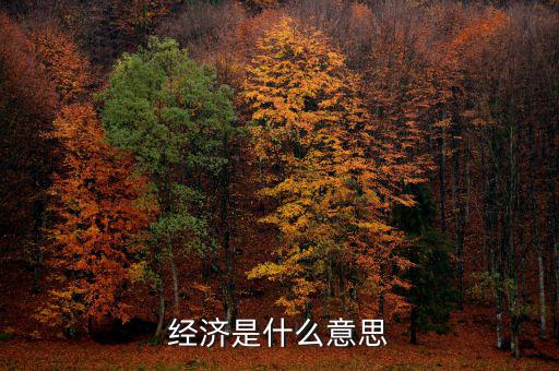 什么經(jīng)濟(jì)，什么是商品經(jīng)濟(jì)