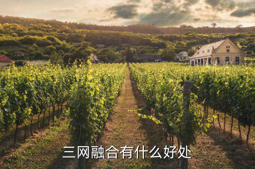 南寧廣電三網(wǎng)融合有什么用，三網(wǎng)融合有什么好處