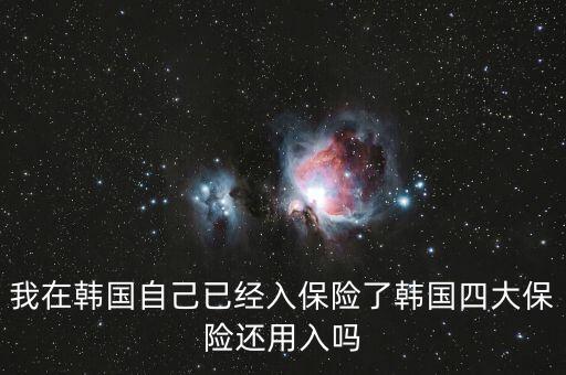 韓國四大保險是什么險，韓國一月扣十萬韓幣是什么保險