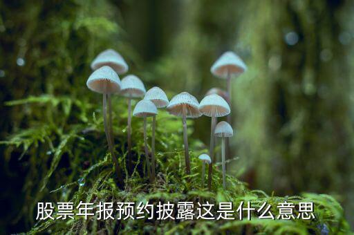 股票披露是什么意思，股票年報(bào)預(yù)約披露這是什么意思
