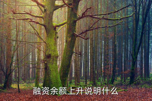 濰柴融資額度很高說明什么，融資余額上升說明什么