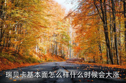 瑞貝卡基本面怎么樣什么時(shí)候會大漲