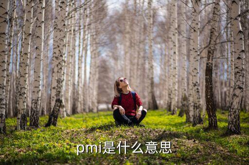 ism非制造業(yè)pmi是什么，pmi是什么意思