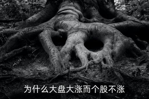 板塊都漲我的個股不長什么原因，為什么大盤大漲而個股不漲