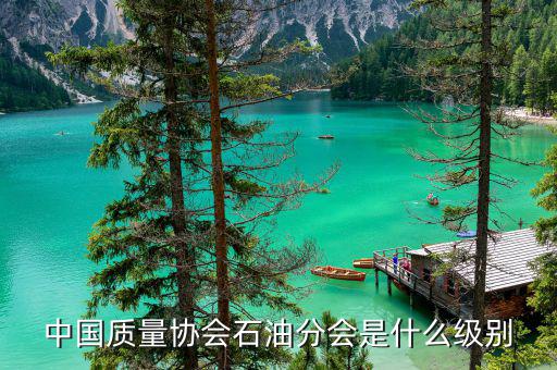 中質(zhì)協(xié)獎屬于什么級別，國藝杯屬于什么級別的獎項