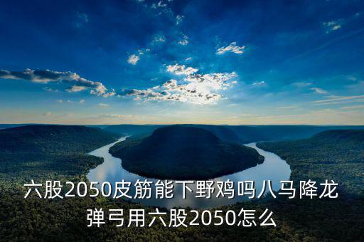 2050四股能下什么貨，2050四股到底配多大的鋼O合適