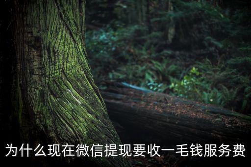 微信提現(xiàn)為什么要收費(fèi)，為什么現(xiàn)在微信提現(xiàn)要收一毛錢(qián)服務(wù)費(fèi)