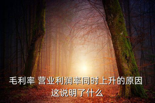 毛利率增長(zhǎng)說(shuō)明什么，增值稅毛利率的高低說(shuō)明什么