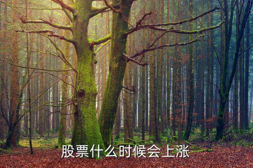 股票在什么情況下才會(huì)漲，股票什么時(shí)候會(huì)上漲