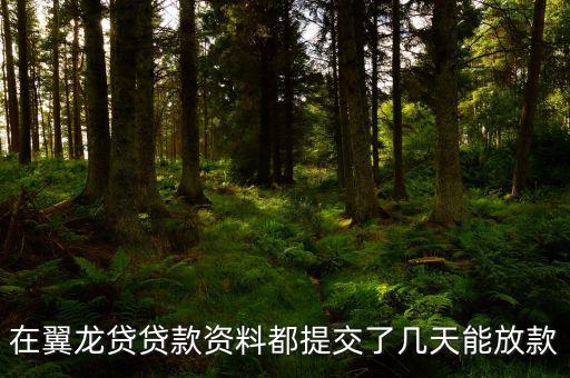 翼龍貸什么時候放項目，在翼龍貸貸款資料都提交了幾天能放款