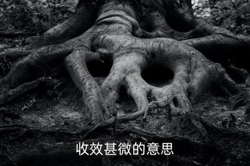 收效甚微的微是什么意思，收效甚微的意思