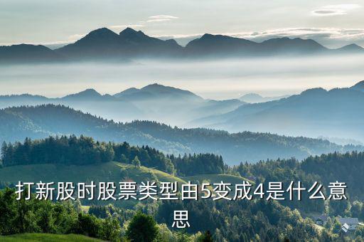 股票類型4是什么意思，打新股時(shí)股票類型由5變成4是什么意思