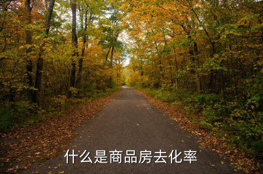 什么是新開樓盤去化率，房產(chǎn)去化率是什么