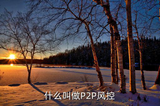 什么是風控機制，白條風控是什么意思