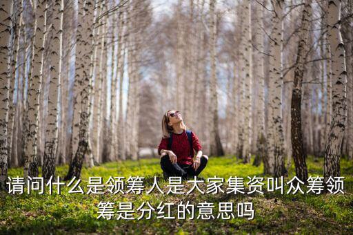 什么是領(lǐng)投人，請(qǐng)問(wèn)什么是領(lǐng)籌人是大家集資叫眾籌領(lǐng)籌是分紅的意思嗎
