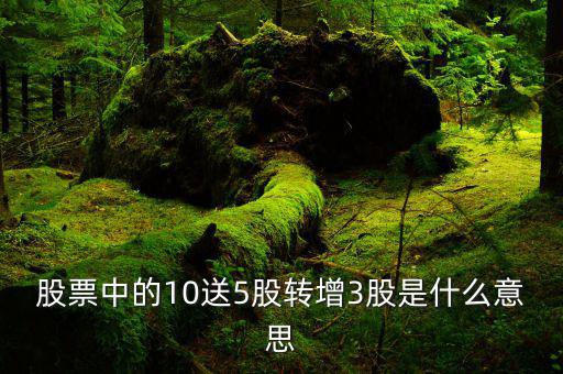 10轉(zhuǎn)5派3是什么意思，10送3派05是什么意思