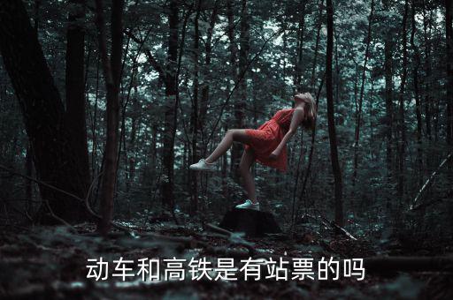為什么高鐵沒有站票，為什么高鐵沒有站票