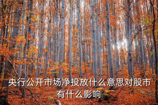 什么是央行凈投放，央行凈投放是甚么意思