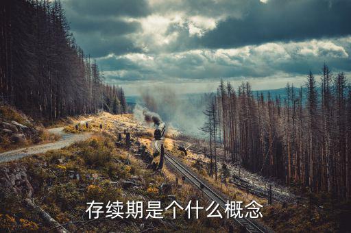 什么是貸款存續(xù)期，什么叫存續(xù)期看百度百科看不懂求簡單易懂的解釋