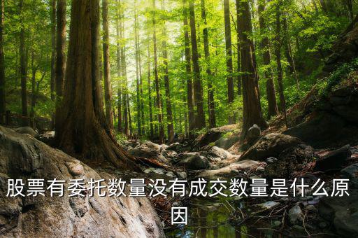股票沒有成交量是什么情況，為什么股票沒有成交