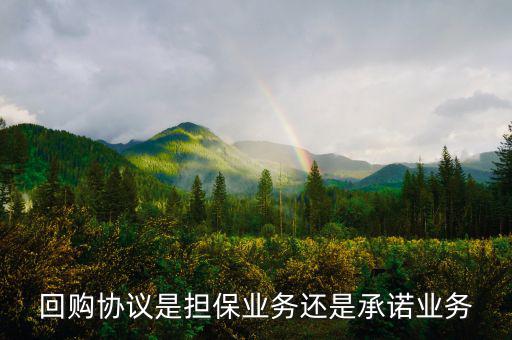 資產(chǎn)回購(gòu)協(xié)議屬什么合同，股權(quán)轉(zhuǎn)讓及回購(gòu)協(xié)議屬于借款合同嗎