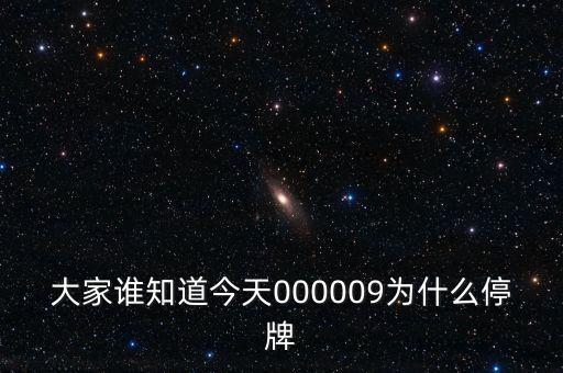 華潤(rùn)雙鶴為什么停牌，002407為何停牌