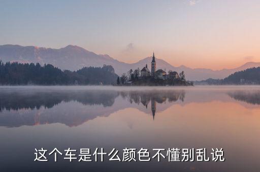 尼日利亞的國(guó)車是什么顏色，GIN的車子是什么牌子什么顏色的