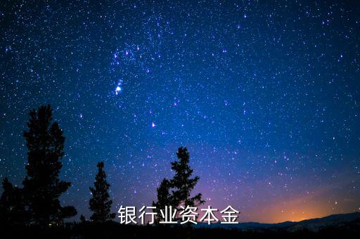 銀行資本金是什么，銀行業(yè)資本金
