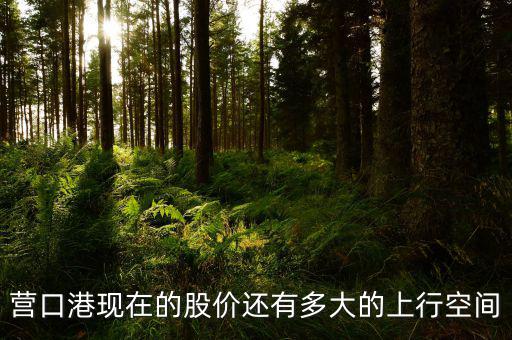 營(yíng)口港為什么漲停，營(yíng)口港股票怎么了