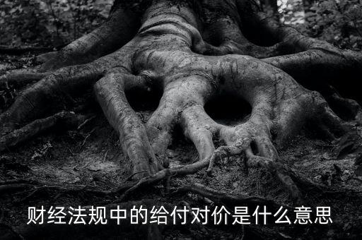 支付對(duì)價(jià)是什么意思，財(cái)經(jīng)法規(guī)中的給付對(duì)價(jià)是什么意思