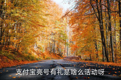 支付寶首貸有禮是什么，支付寶亮號有禮是啥么活動(dòng)呀