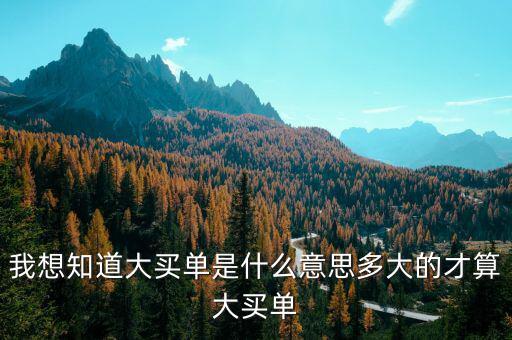 什么是超大買單，下跌過(guò)程中出現(xiàn)超大買單什么意思