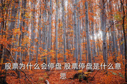 股票為什么會(huì)停盤(pán) 股票停盤(pán)是什么意思