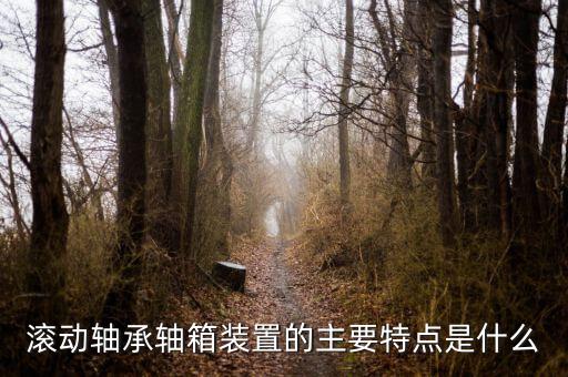 什么是軸箱軸承，什么是軸承