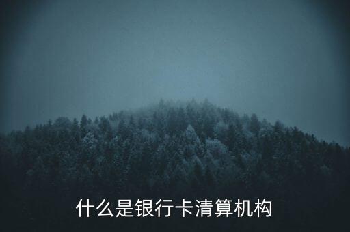 同一卡組織清算機(jī)構(gòu)指什么，銀行卡清算機(jī)構(gòu)銀行支付機(jī)構(gòu)到底有什么區(qū)