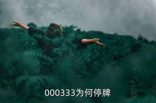 000333為什么停盤(pán)，000333為何停牌